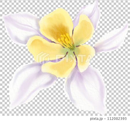 Watercolor Floral Botanical hand paint Watercolor Floral Botanical hand paint 112082393
