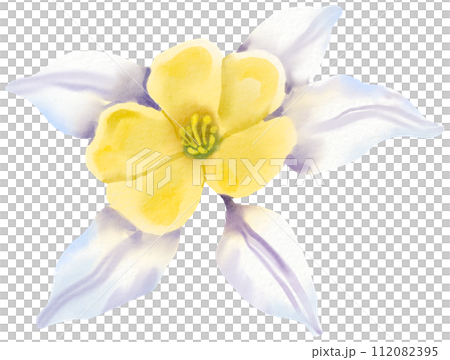 Watercolor Floral Botanical hand paint Watercolor Floral Botanical hand paint 112082395