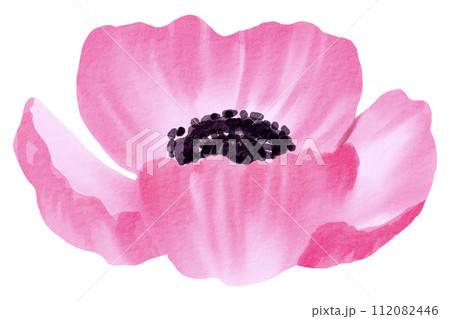 Watercolor Floral Botanical hand paint 112082446