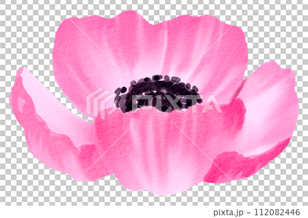 Watercolor Floral Botanical hand paint 112082446