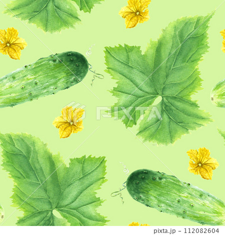 Watercolor seamless repeat pattern with green vegetable cucumber with leaf and flowers. Hand drawn watercolor illustration. For wrapping wallpaper fabric textile Watercolor seamless repeat pattern with green vegetable cucumber with leaf and flowers. Hand drawn watercolor illustration. For wrapping wallpaper fabric textile 112082604