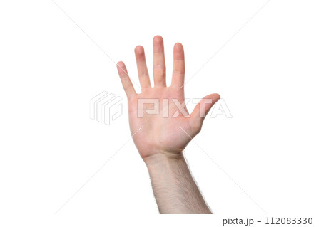 PNG,man's palm, isolated on white background PNG,man's palm, isolated on white background 112083330