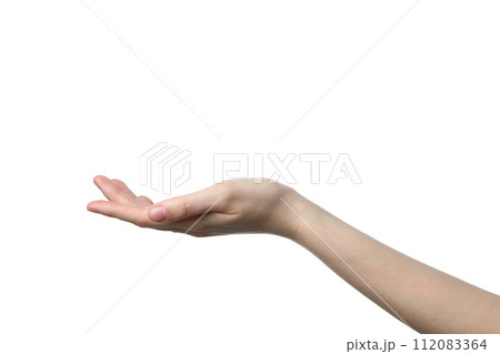 PNG,female hand, isolated on white background 112083364
