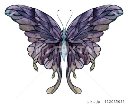 Hand drawn watercolor illustration butterfly fairy wings gem crystal insect moth. Amethyst charoite fluorite ametrine. Single object isolated on white background. Design print, shop, wedding, birthday Hand drawn watercolor illustration butterfly fairy wings gem crystal insect moth. Amethyst charoite fluorite ametrine. Single object isolated on white background. Design print, shop, wedding, birthday 112085033