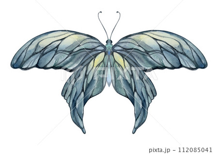 Hand drawn watercolor illustration butterfly fairy wings gem crystal insect moth. Opal moonstone pearl labradorite. Set of objects isolated on white background. Design print, shop, wedding, birthday Hand drawn watercolor illustration butterfly fairy wings gem crystal insect moth. Opal moonstone pearl labradorite. Set of objects isolated on white background. Design print, shop, wedding, birthday 112085041