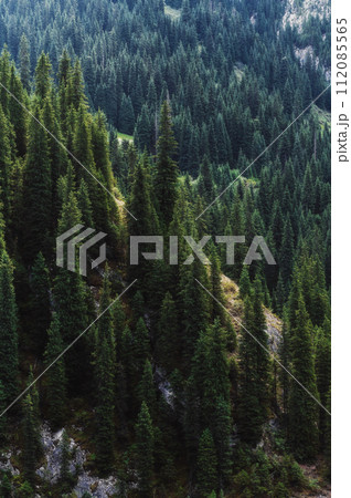 landscape with a beautiful green fir spruce forests in summer Tien Shan mountains in Kazakhstan. Top view from a drone landscape with a beautiful green fir spruce forests in summer Tien Shan mountains in Kazakhstan. Top view from a drone 112085565