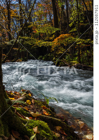 日本　青森県十和田市、十和田湖の子ノ口から焼山まで続く奥入瀬渓流の紅葉 112087911