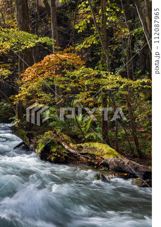 日本　青森県十和田市、十和田湖の子ノ口から焼山まで続く奥入瀬渓流の紅葉 112087965