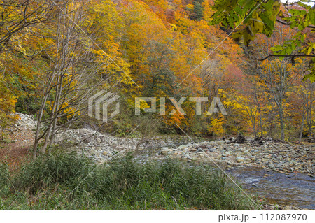 日本　青森県中津軽郡にある世界遺産、白神山地の暗門渓谷ルート沿いの暗門川と紅葉 112087970