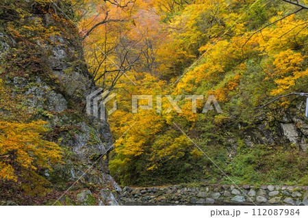 日本　青森県中津軽郡にある世界遺産、白神山地の暗門渓谷ルート沿いの暗門川と紅葉 112087984