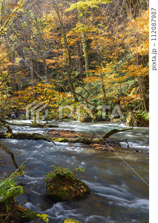日本 青森県十和田市、十和田湖の子ノ口から焼山まで続く奥入瀬渓流の紅葉 日本 青森県十和田市、十和田湖の子ノ口から焼山まで続く奥入瀬渓流の紅葉 112087987