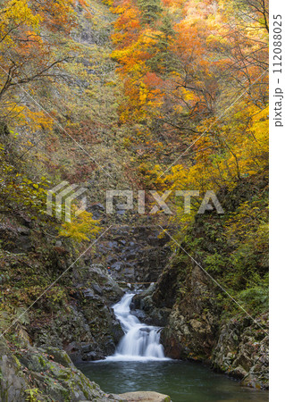日本 青森県中津軽郡にある世界遺産、白神山地の暗門滝の第3の滝と紅葉 日本 青森県中津軽郡にある世界遺産、白神山地の暗門滝の第3の滝と紅葉 112088025