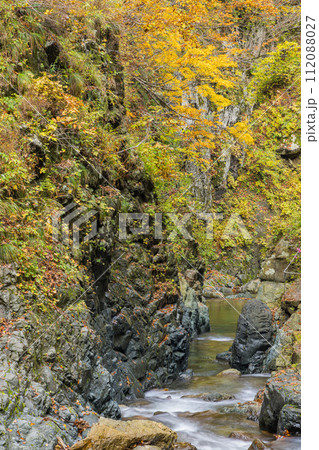 日本　青森県中津軽郡にある世界遺産、白神山地の暗門渓谷ルート沿いの暗門川と紅葉 112088027