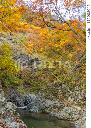 日本　青森県中津軽郡にある世界遺産、白神山地の暗門渓谷ルート沿いの暗門川と紅葉 112088046