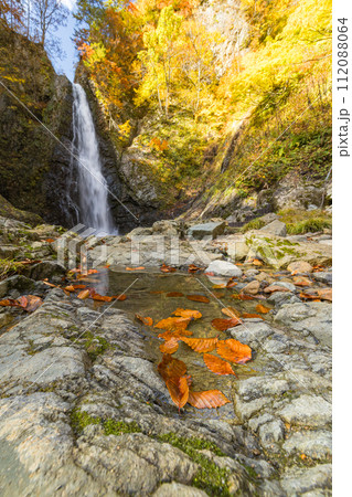 日本 青森県中津軽郡にある世界遺産、白神山地の暗門滝の第2の滝と紅葉 日本 青森県中津軽郡にある世界遺産、白神山地の暗門滝の第2の滝と紅葉 112088064