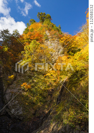 日本　青森県中津軽郡にある世界遺産、白神山地の紅葉 112088132