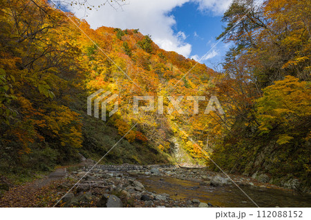 日本　青森県中津軽郡にある世界遺産、白神山地の暗門渓谷ルート沿いの暗門川と紅葉 112088152