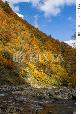 日本 青森県中津軽郡にある世界遺産、白神山地の暗門渓谷ルート沿いの暗門川と紅葉 日本 青森県中津軽郡にある世界遺産、白神山地の暗門渓谷ルート沿いの暗門川と紅葉 112088153