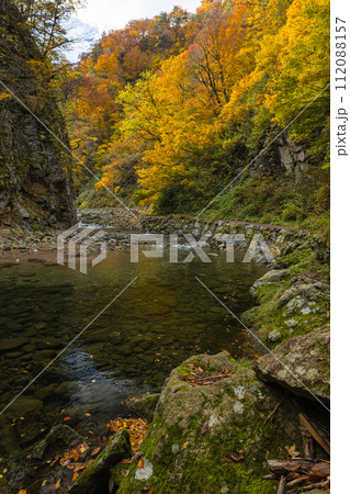 日本　青森県中津軽郡にある世界遺産、白神山地の暗門渓谷ルート沿いの暗門川と紅葉 112088157