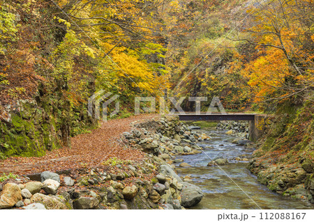 日本　青森県中津軽郡にある世界遺産、白神山地の暗門渓谷ルート沿いの暗門川と紅葉 112088167