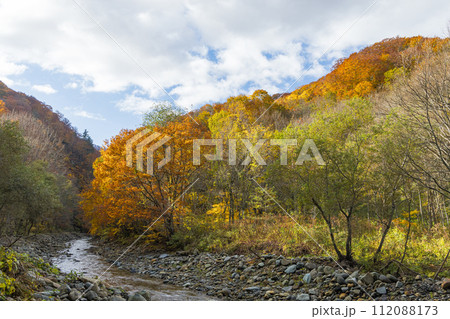 日本　青森県中津軽郡にある世界遺産、白神山地の暗門渓谷ルート沿いの暗門川と紅葉 112088173