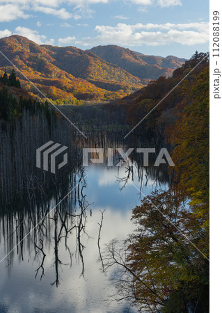 日本　青森県中津軽郡の大川白神橋から見える大川の立ち枯れと鏡面に映った紅葉と空 112088199