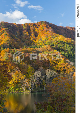 日本 青森県中津軽郡の大川白神橋から見えるの暗門川と紅葉 日本 青森県中津軽郡の大川白神橋から見えるの暗門川と紅葉 112088201