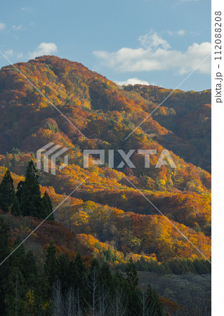 日本 青森県中津軽郡の大川白神橋から見える風景と紅葉 日本 青森県中津軽郡の大川白神橋から見える風景と紅葉 112088208
