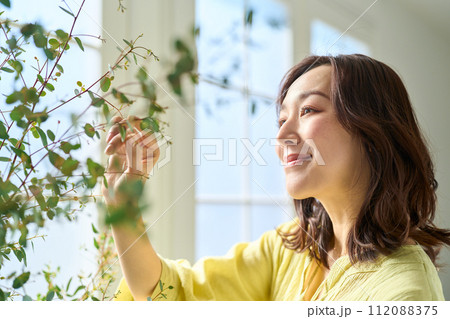 観葉植物の手入れをする女性 観葉植物の手入れをする女性 112088375
