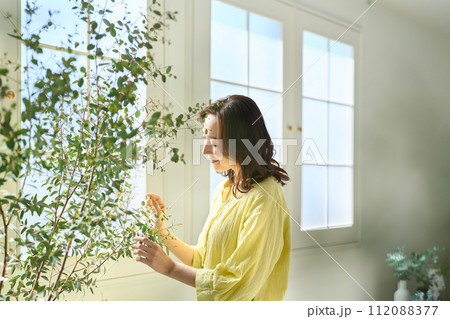 観葉植物の手入れをする女性 観葉植物の手入れをする女性 112088377