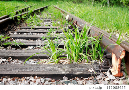 Old Railway In Forest 112088425