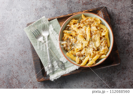 French Onion Style Creamy Pasta with caramelized onions, thyme, garlic and gruyere cheese close-up on a bowl. Horizontal top view 112088560