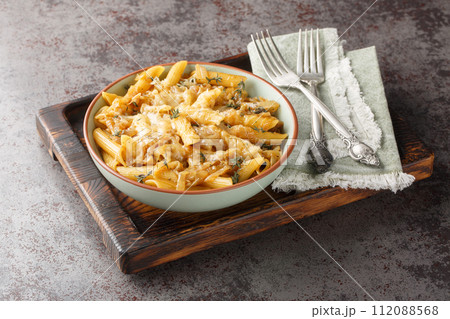 French Onion Style Creamy Pasta with caramelized onions, thyme, garlic and gruyere cheese close-up on a bowl. Horizontal 112088568