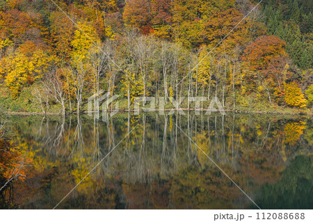 日本　青森県中津軽郡の大川白神橋から見えるの暗門川と鏡面に映った紅葉 112088688