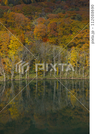 日本 青森県中津軽郡の大川白神橋から見えるの暗門川と鏡面に映った紅葉 日本 青森県中津軽郡の大川白神橋から見えるの暗門川と鏡面に映った紅葉 112088690