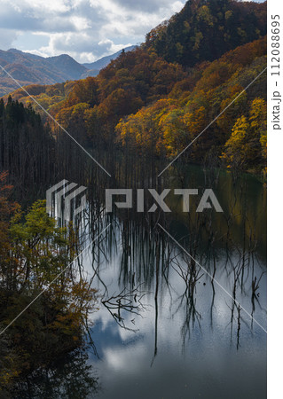 日本　青森県中津軽郡の大川白神橋から見える大川の立ち枯れと鏡面に映った紅葉と空 112088695