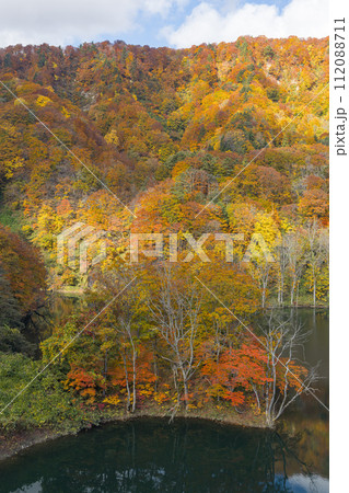 日本 青森県中津軽郡の大川白神橋から見える紅葉 日本 青森県中津軽郡の大川白神橋から見える紅葉 112088711