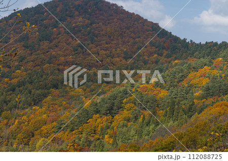 日本　青森県青森市にある岩木山展望所から見える風景と紅葉 112088725