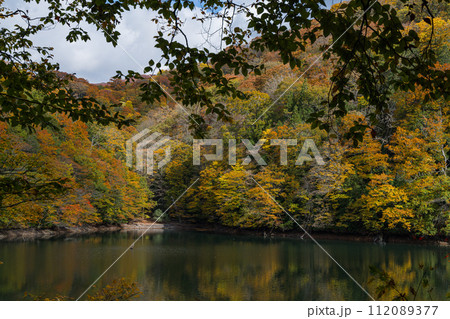 日本　青森県西津軽郡深浦町の白神山地西部に位置する湖沼群、十二湖の鶏頭場の池と紅葉 112089377