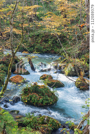 日本　青森県十和田市、十和田湖の子ノ口から焼山まで続く奥入瀬渓流の紅葉 112089379