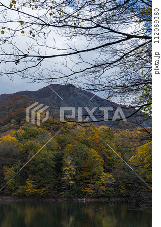 日本 青森県西津軽郡深浦町の白神山地西部に位置する湖沼群、十二湖の鶏頭場の池からの崩山の大崩と紅葉 日本 青森県西津軽郡深浦町の白神山地西部に位置する湖沼群、十二湖の鶏頭場の池からの崩山の大崩と紅葉 112089380