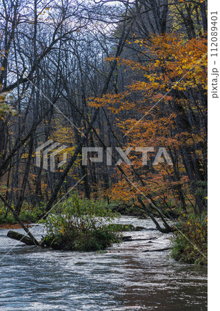 日本　青森県十和田市、十和田湖の子ノ口から焼山まで続く奥入瀬渓流の紅葉 112089401