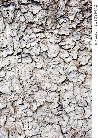 Dry Land Background 112089442