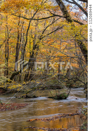 日本　青森県十和田市、十和田湖の子ノ口から焼山まで続く奥入瀬渓流の飛金の流れと紅葉 112089444