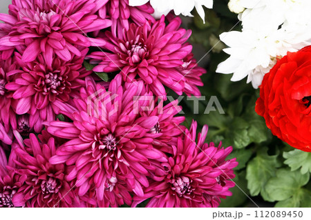 Garden Flowers 112089450
