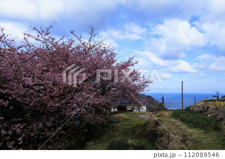 駿河湾を望む静岡県松崎町石部の棚田（富士山も見えます）の早春　 112089546