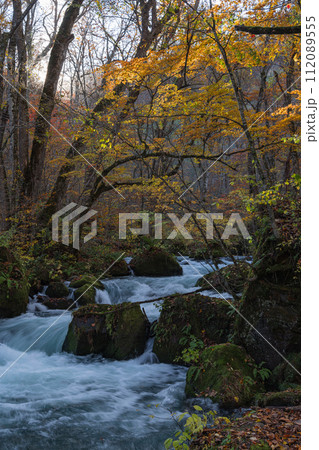 日本　青森県十和田市、十和田湖の子ノ口から焼山まで続く奥入瀬渓流の飛金の流れと紅葉 112089555