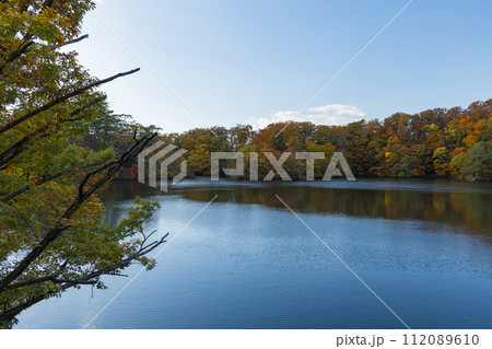 日本　青森県西津軽郡深浦町の白神山地西部に位置する湖沼群、十二湖の王池と紅葉 112089610