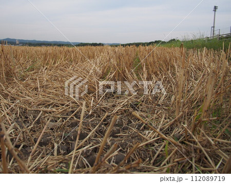収穫を終えた麦畑の風景 112089719