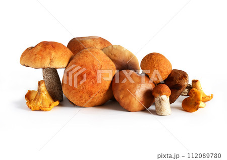 Mushrooms On White Mushrooms On White 112089780
